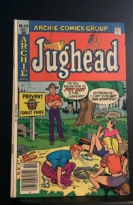 Jughead #317 (1981)