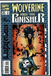 Wolverine and the Punisher: Damaging Evidence #2 (1993) Punisher