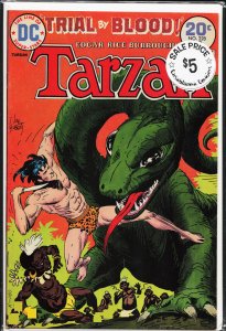 Edgar Rice Burroughs' Tarzan #228 (1974)