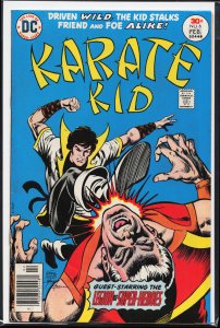 Karate Kid #6 (1977) Karate Kid