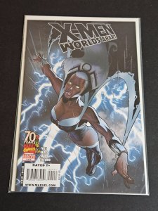 X-Men: Worlds Apart #4 (2009)