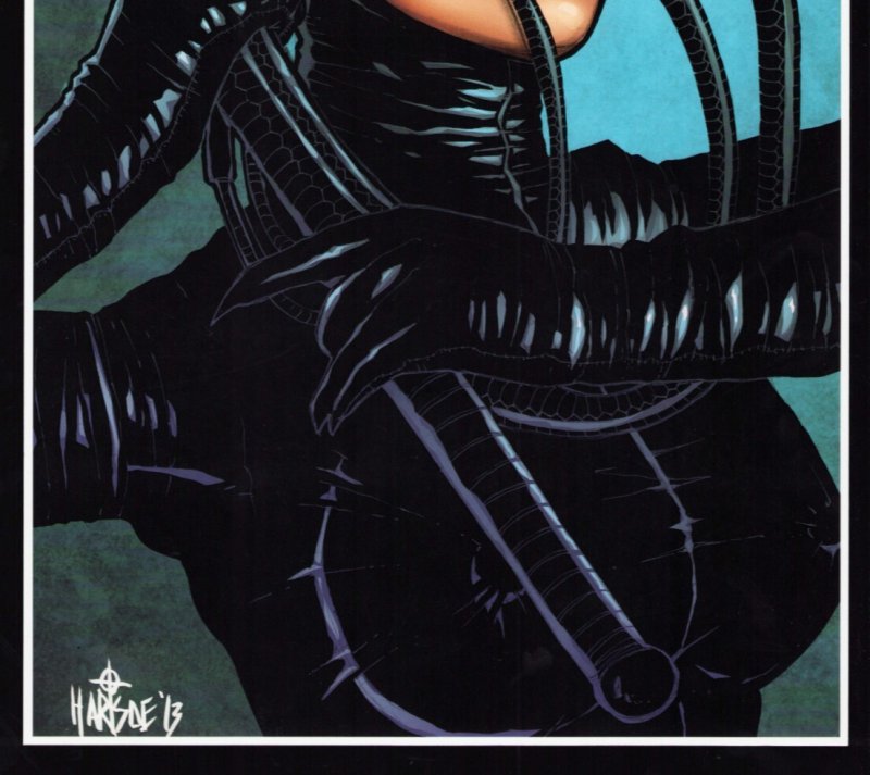 Everette Hartsoe's Dirty Drawings Catwoman Cover Art 11 x 17 Print. Signed w/COA