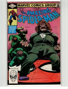 The Amazing Spider-Man #232 (1982) Spider-Man
