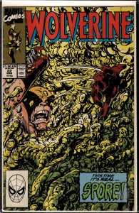 Wolverine #22 (1990) Wolverine