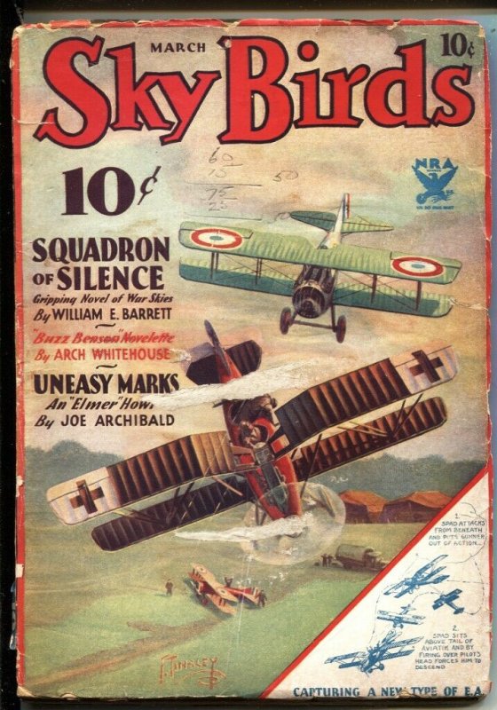 SKY BIRDS - MARCH 1934 - BUZZ BENSON HERO PULP - FRANK TINSLEY BIPLANE BATTLE...