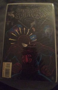 The Spectacular Spider-Man #207 Direct Edition (1993) Spider-Man 