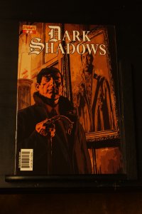 Dark Shadows #2 Variant Cover (2011) Dark Shadows