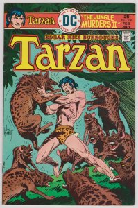 Tarzan #246 (VF) DC Bronze Age