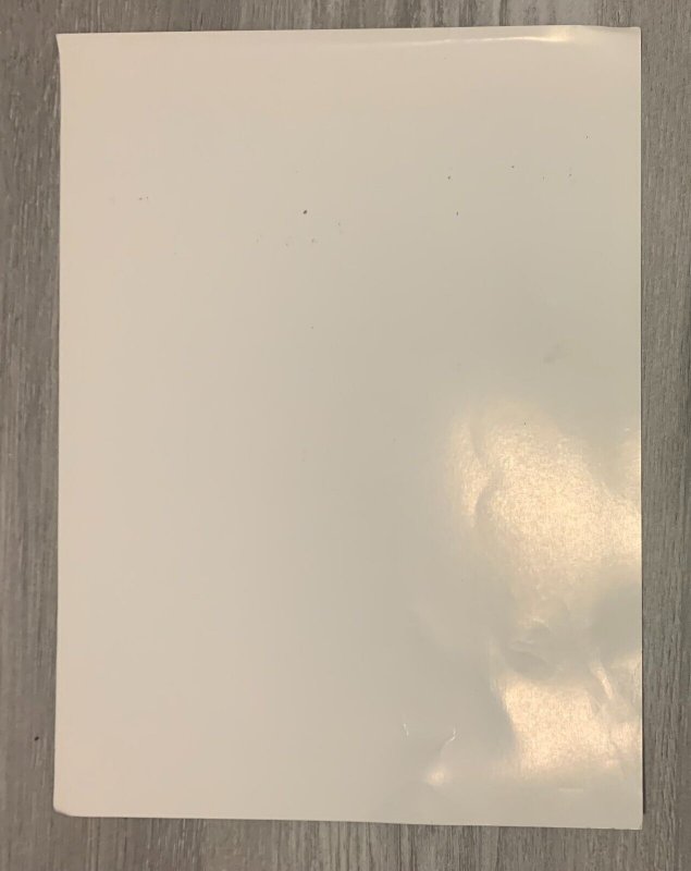 SPIDER-MAN BLACK CAT 9x12 Color Gargoyle Print VG+ 45 on Heavy Paper