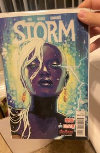 Storm #11 (2015) Storm 