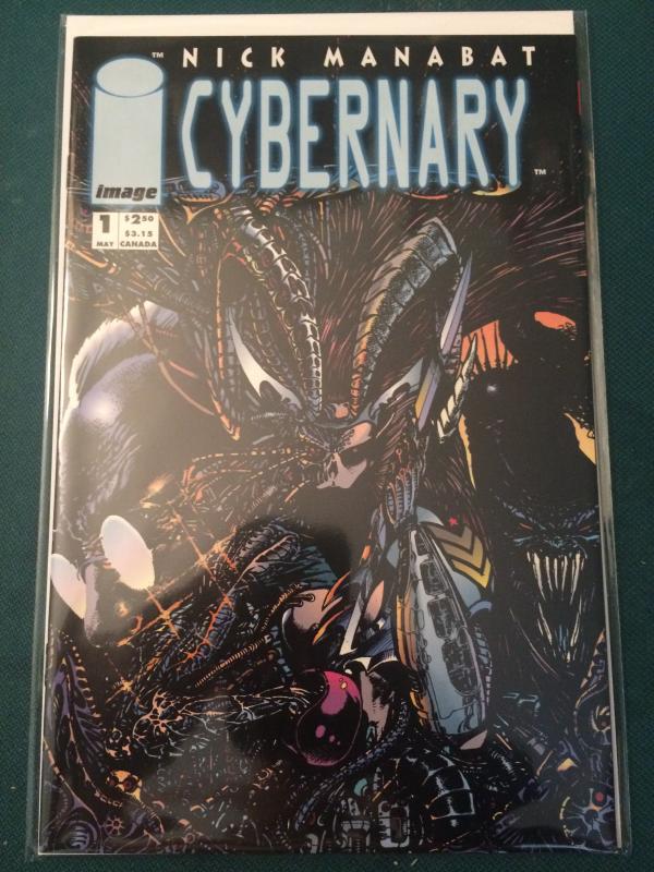 Cybernary #1