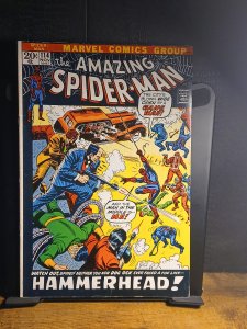 The Amazing Spider-Man #114 (1972) Spider-Man