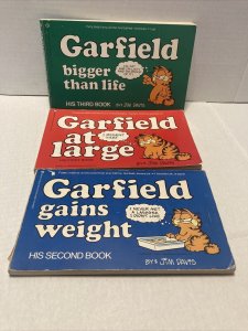 Garfield Comic Book Collection  Lot Of 14 (2064)