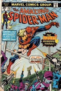 The Amazing Spider-Man #153 (1976) Spider-Man