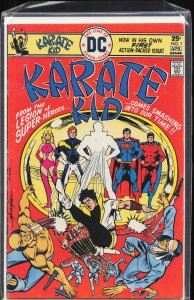 Karate Kid #1 (1976) Karate Kid