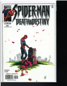 Spider-Man: Death & Destiny #2 (Marvel, 2000)