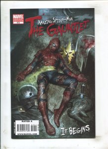 Amazing Spider-Man #612 - Direct Edition / Granov Variant (9.2OB) 2010
