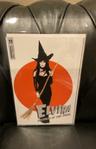 Elvira Mistress of the Dark #11 Cover D (2020)