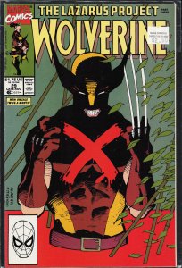 Wolverine #29 (1990) Wolverine