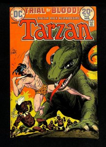 Tarzan (1972) #228