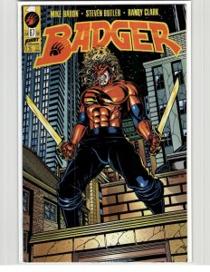 Badger #67 (1991) Badger