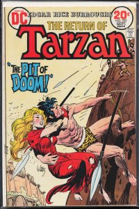 Edgar Rice Burroughs' Tarzan #223 (1973)