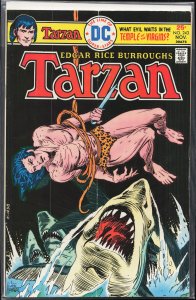 Edgar Rice Burroughs' Tarzan #243 (1975)