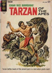 Tarzan #144 Gold Key Edgar Rice Burroughs FN+