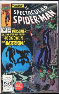 The Spectacular Spider-Man #163 (1990) Spider-Man