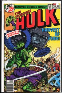 The Incredible Hulk #230 (1978) Hulk