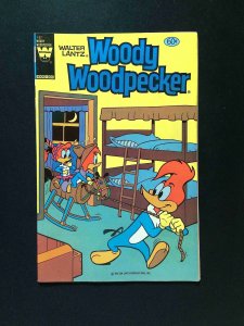 Woody Woodpecker #197  WHITMAN Comics 1982 FN/VF