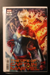 The Life of Captain Marvel (2019)