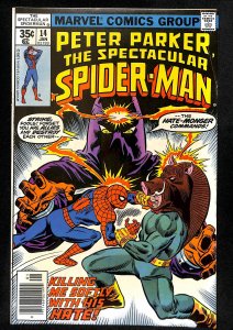 The Spectacular Spider-Man #14 (1978)