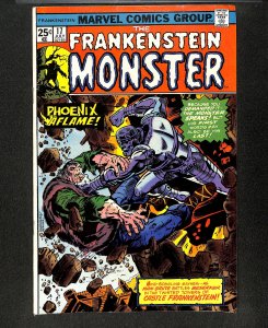 Frankenstein #17 A Phoenix Berserk!  Ed Hannigan Cover!