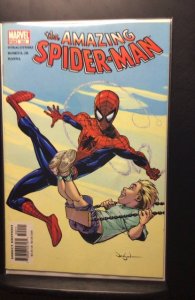 The Amazing Spider-Man #502 (2004)