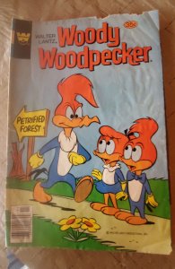 Walter Lantz Woody Woodpecker #172 (1978)
