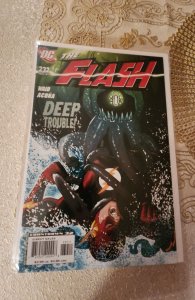 The Flash #232 (2007)