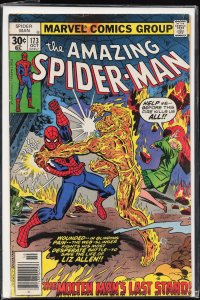 The Amazing Spider-Man #173 (1977) Spider-Man