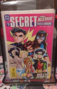 Young Justice Secret Files (1999)