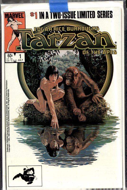 Tarzan of the Apes #1 Direct Edition (1984) Tarzan