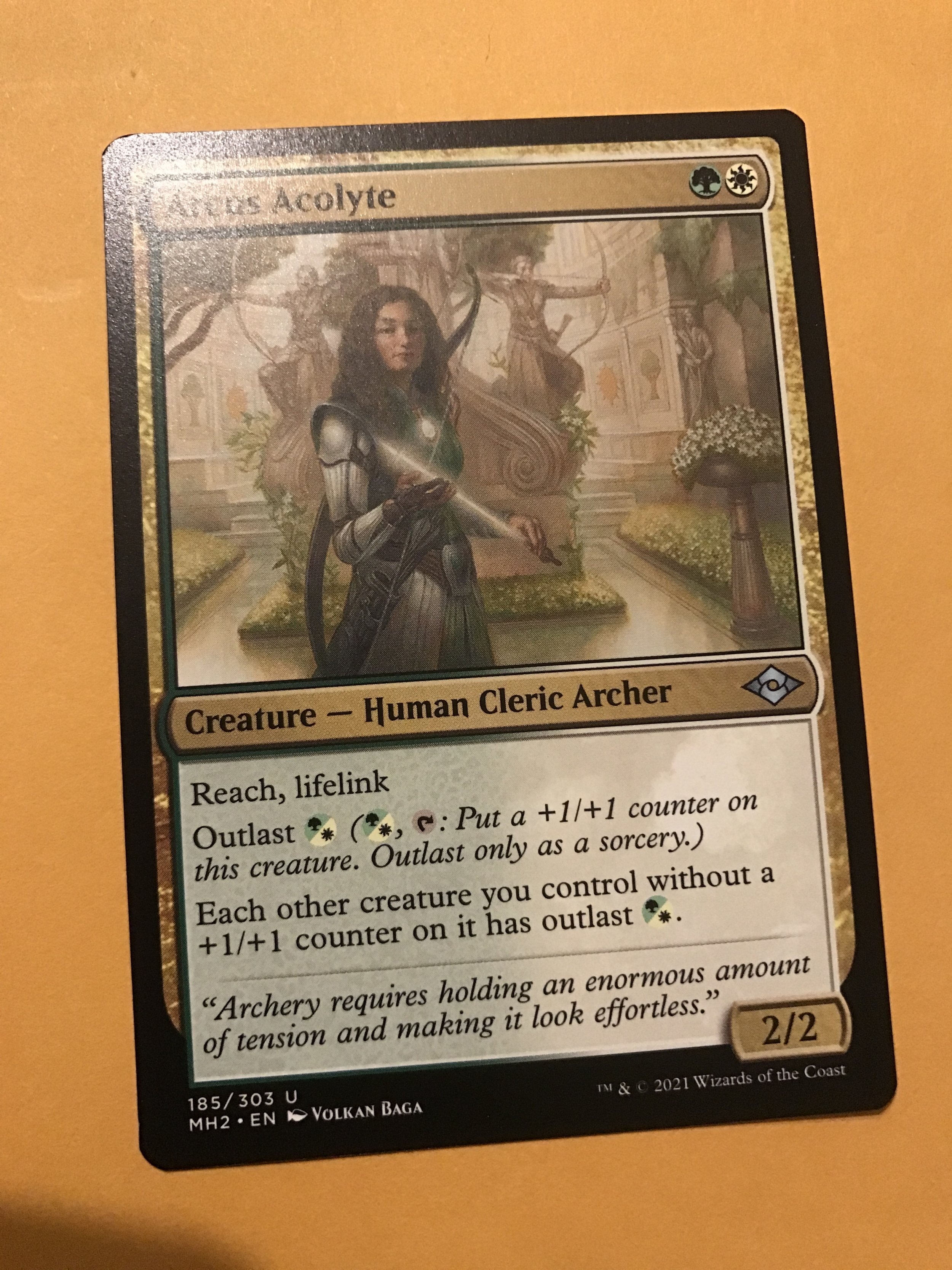 ARCUS ACOLYTE: Magic the Gathering MTG card; Modern Horizons 2021, NM |  Comic Collectibles - Trading Cards - Magic the Gathering / HipComic