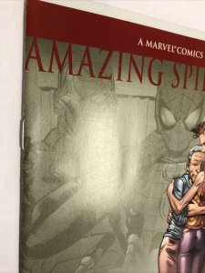 Amazing Spider-Man (2006) # 532 (NM) | 2nd Print Variant