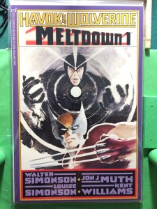 Havok & Wolverine Meltdown #1