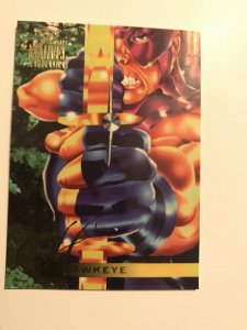 HAWKEYE #138 card : Marvel Annual 1995 Flair; NM/M; base, Disney TV, Avengers