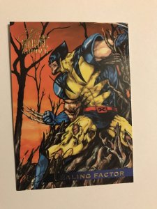 HEALING FACTOR #41 card : Marvel Annual 1995 Flair; NM/M;  base, Wolverine