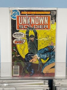 Unknown Soldier #221 (1978)