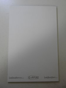 Lady Death: Scorched Earth #1 Original Art Edition NM Condition!