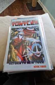 Teenage Mutant Ninja Turtles #21