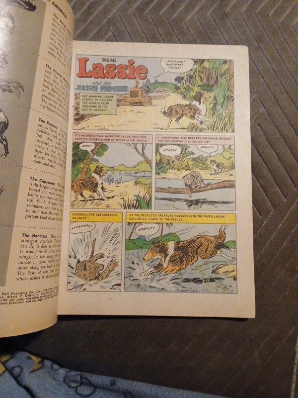 Lassie 17 And 22 Golden Age Dell Comics 1955 Lot Run Set Collection