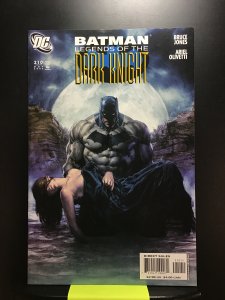 Batman: Legends of the Dark Knight #210 (2006)